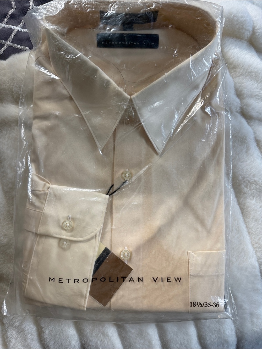 Metropolitan View Men's Cream Dress Shirt - Classic Point Collar